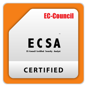 ECSA certification